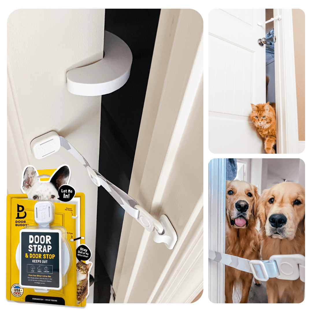 Door Buddy®: Door Latch Plus Door Stopper to Dog Proof Litter Box